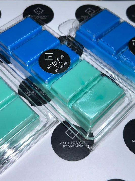 Lenny Frosted Eucalyptus Wax Melt - Snap Bar/Pots/Wardrobe Fresheners